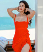 Navessa +971544341537